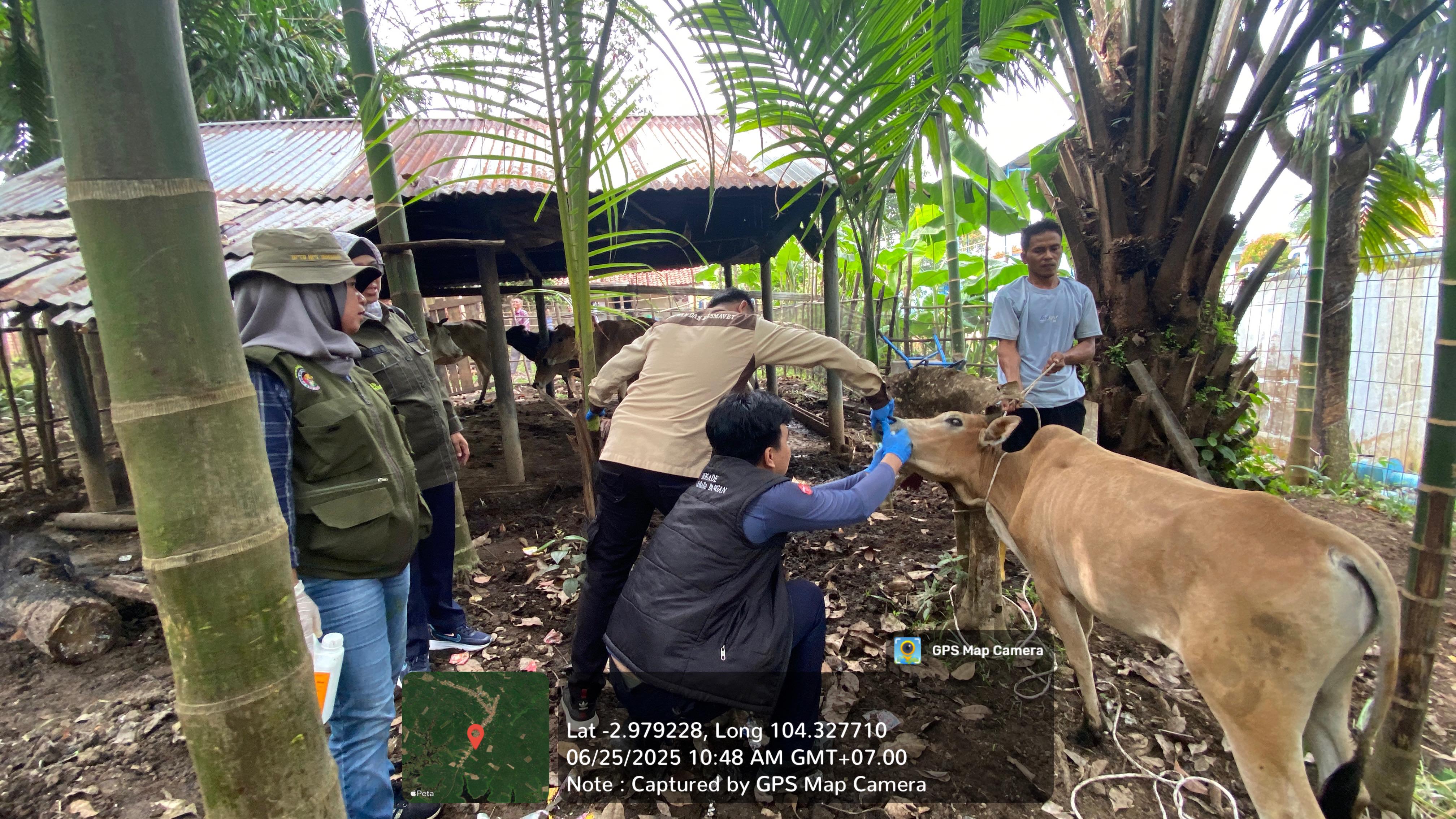 Pemeriksaan Kesehatan Gratis